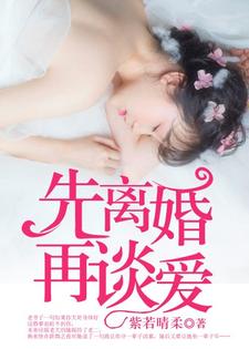 完结版《先离婚，再谈爱》章节目录在线阅读