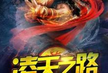 柳铭诸葛芷若的完整故事在哪里？读凌天之路小说-芥末文学