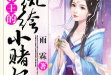 《邪王的纨绔小赌妃》全集免费在线阅读（江甄津南旌）-芥末文学
