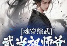 魂穿综武：武当祖师爷出山了小说，魂穿综武：武当祖师爷出山了章节在线阅读-芥末文学