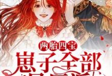 完结版《两胎四宝，崽子全部是反派》在线免费阅读-芥末文学