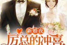 完结版《新婚夜，厉总的冲喜娇妻宠不停》章节阅读-芥末文学