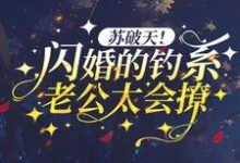 《苏破天！闪婚的钓系老公太会撩》全集免费在线阅读（商时序沈枝意）-芥末文学