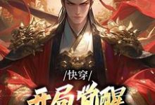 快穿：开局觉醒无上帝王系统秦渊，快穿：开局觉醒无上帝王系统在线无弹窗阅读-芥末文学