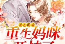 完结版《天才萌宝：重生妈咪开挂了》章节目录在线阅读-芥末文学