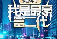 完结版《摊牌了，我是最豪富二代》在线免费阅读-芥末文学