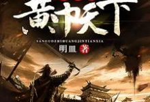 三国之黄巾天下章节免费在线阅读，赵弘赵无忌吕布诸葛亮完结版-芥末文学