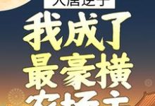 主人公秦怀道李靖小说大唐逆子：我成了最豪横农场主在线章节阅读-芥末文学