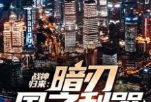 完结版《战神归来：暗刃国之利器》免费阅读-芥末文学