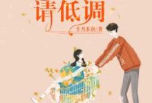 免费看甜宠暖婚:总裁宠妻请低调小说的网站有哪些?-芥末文学