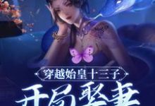 完结版《穿越始皇十三子，开局娶妻少司命》章节目录在线阅读-芥末文学