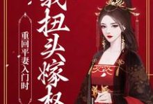 重回平妻入门时，我扭头嫁权王瞿绾眉赵君屹，重回平妻入门时，我扭头嫁权王小说免费阅读-芥末文学