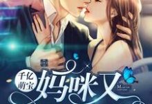 完结版《千亿萌宝：妈咪又逃跑了》免费阅读-芥末文学