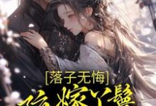 落子无悔，陪嫁丫鬟一心逃离檀容韩晏，落子无悔，陪嫁丫鬟一心逃离小说免费阅读-芥末文学