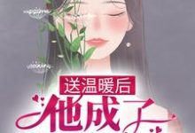 送温暖后，他成了反派心尖宠小说有没有完结版在线？-芥末文学