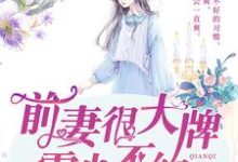 完结版《前妻很大牌：霍少，不约》章节阅读-芥末文学