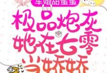寻找能够免费阅读军婚甜蜜蜜：极品炮灰她在七零当娇娇小说的平台-芥末文学