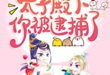 太子殿下你被逮捕了小说无弹窗阅读的网站推荐-芥末文学