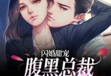 完结版《闪婚甜宠：腹黑总裁对我蓄谋已久》免费阅读-芥末文学