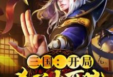 完结版《三国：开局杀了大耳贼》章节阅读-芥末文学