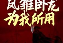 完结版《三国：开局娶妻，凤雏卧龙为我所用》在线免费阅读-芥末文学