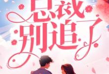 完结版《夫人改嫁了，总裁别追了！》免费阅读-芥末文学