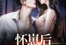 《怀崽后，公司炸疯了》小说章节在线试读，《怀崽后，公司炸疯了》最新章节目录-芥末文学