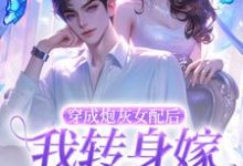 穿成炮灰女配后，我转身嫁禁欲大佬夏禾陆君砚在线章节免费阅读-芥末文学
