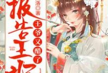 完结版《报告王妃，王爷又醋了》章节阅读-芥末文学