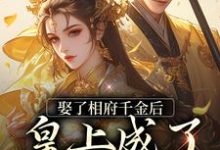 娶了相府千金后，皇上成了恋爱脑小说，娶了相府千金后，皇上成了恋爱脑最新章节-芥末文学