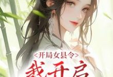 完结版《开局女县令，我开启基建之旅》免费阅读-芥末文学