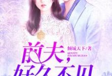 完结版《前夫，好久不见》在线免费阅读-芥末文学