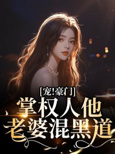 免费在线阅读宠！豪门掌权人他老婆混黑道小说的正规网站有哪些？