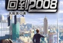 《重启人生：回到2008》全集免费在线阅读（孙冬明宁雨暄）-芥末文学