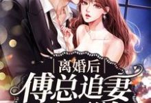 《离婚后傅总追妻不要脸》小说大结局免费试读 乔以沫傅司年小说-芥末文学