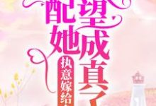 男女主人公阮念念江燃小说执意嫁给乡里汉，女配她愿望成真了章节免费阅读-芥末文学