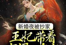 苏云宛秦君屹是哪本书的主角？新婚夜被抄家，王妃带着空间入皇宫免费读-芥末文学