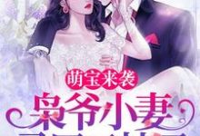 《萌宝来袭，枭爷小妻马甲又掉了》全集免费在线阅读（言西澄陆乘枭）-芥末文学