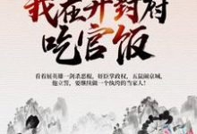 北宋：我在开封府吃官饭 曹斌杜十娘在线章节免费阅读-芥末文学