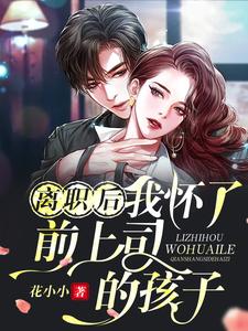 完结版《离职后我怀了前上司的孩子》章节目录在线阅读