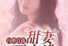 《闪婚总裁：甜妻要出逃》小说章节在线试读，《闪婚总裁：甜妻要出逃》最新章节目录-芥末文学