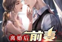 完结版《离婚后，前妻跪求原谅》章节阅读-芥末文学