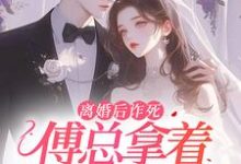 完结版《离婚后诈死，傅总拿着孕检单疯了》在线免费阅读-芥末文学