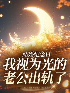 结婚纪念日，我视为光的老公出轨了（尹禾月宋屿舟）在线免费阅读