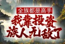 《全族都是高手，我靠投资族人无敌了》小说大结局免费试读 姜道玄小说-芥末文学