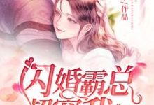 完结版《闪婚霸总超宠我》章节阅读-芥末文学