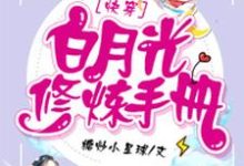 白月光修炼手册小说的无弹窗阅读体验，寻找免费阅读网站-芥末文学