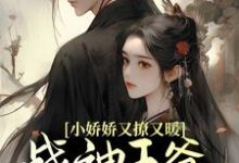 完结版《小娇娇又撩又暖,战神王爷江山为聘》免费阅读-芥末文学