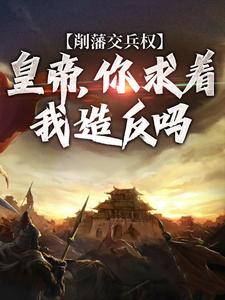 在线免费阅读削藩交兵权，皇帝，你求着我造反吗完整小说